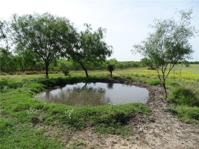 0 Fm 2294th Hwy, San Isidro TX, 78588 land for sale