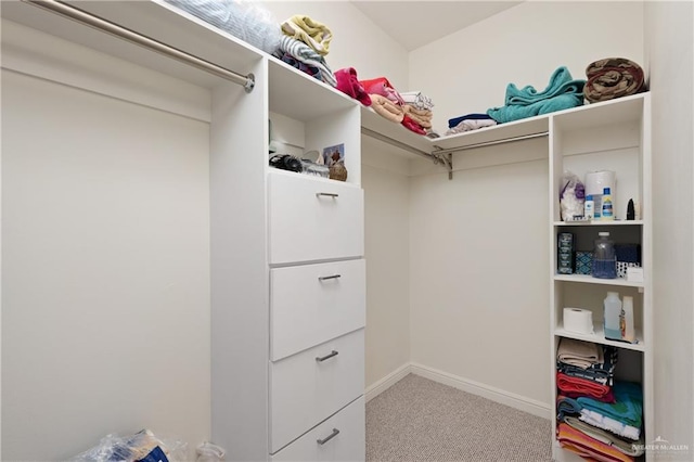 walk in closet featuring light carpet