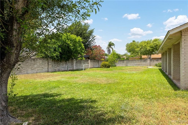 2101 W Jonquil Ave, Mcallen, TX 78501 - photo 20