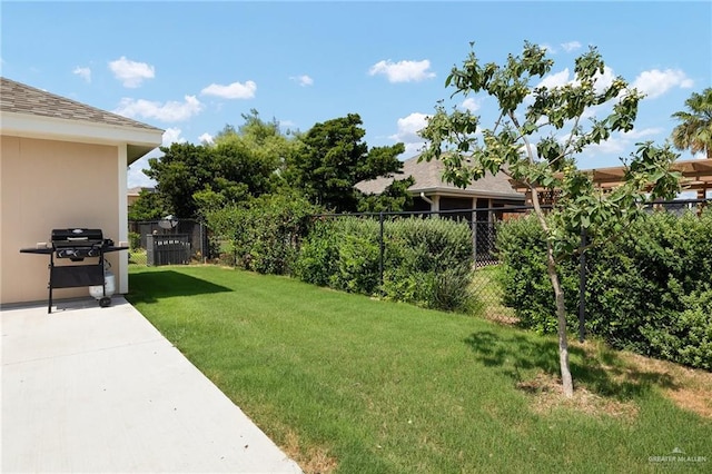 2203 Kingfisher Ln, Mission, TX 78572 - view of yard