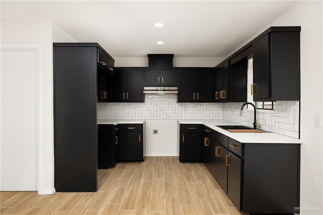112 Tecate Dr, Mission, TX 78572 - kitchen featuring a sink, under cabinet range hood, tasteful backsplash, light wood-style floors, and dark cabinets
