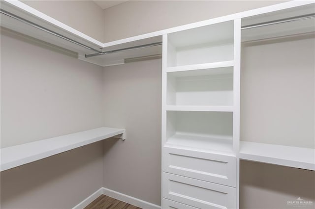 spacious closet featuring dark hardwood / wood-style flooring