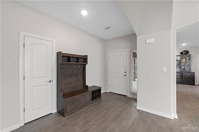 entryway featuring wood-type flooring