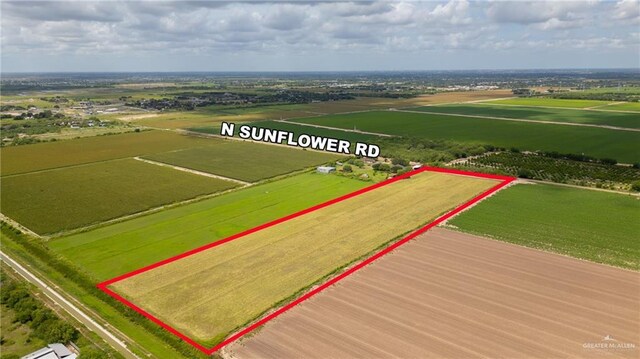 1834 N Sunflower Rd, Edinburg, TX 78542
