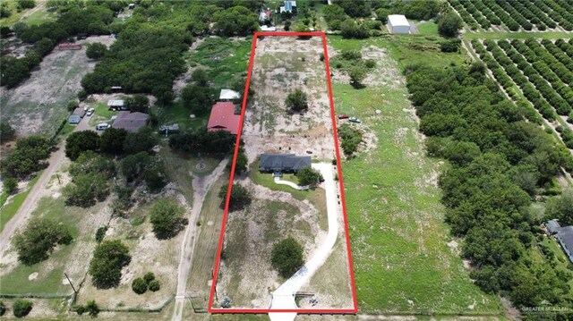 16311 Citrus Dr, Mcallen, TX 78541 - overview of rural landscape featuring rows of crops and property parcel outlined