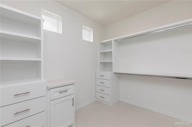701 Helen St, Mission, TX 78574 - view of walk in closet