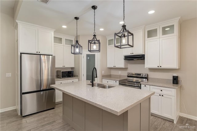 kitchen featuring appliances with stainless steel finishes, a sink, light wood-style flooring, and under cabinet range hood