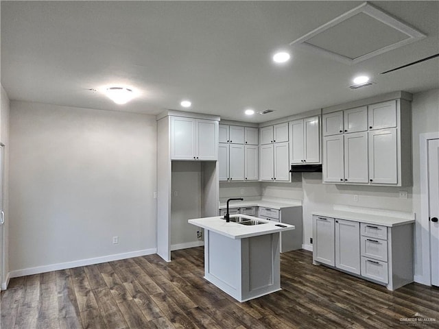 kitchen with dark wood-type flooring, a kitchen island with sink, and sink