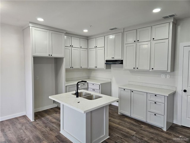 kitchen with dark wood-type flooring, sink, and a center island with sink