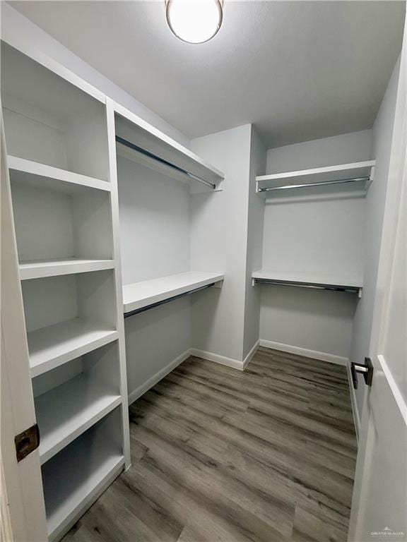 walk in closet featuring built in study area and wood finished floors