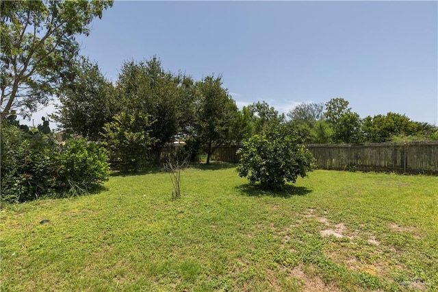 482 Cripple Creek Cir, Alamo, TX 78516 - photo 15