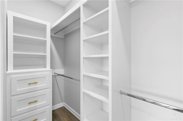 spacious closet featuring dark hardwood / wood-style flooring