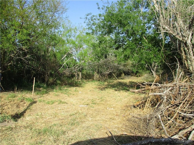 Listing photo 2 for 0 Cantu Rd, Santa Rosa TX 78593