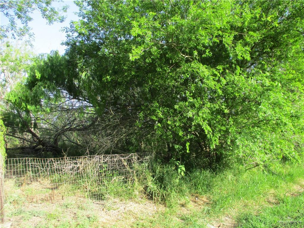 0 Cantu Rd, Santa Rosa, TX 78593 - photo 1