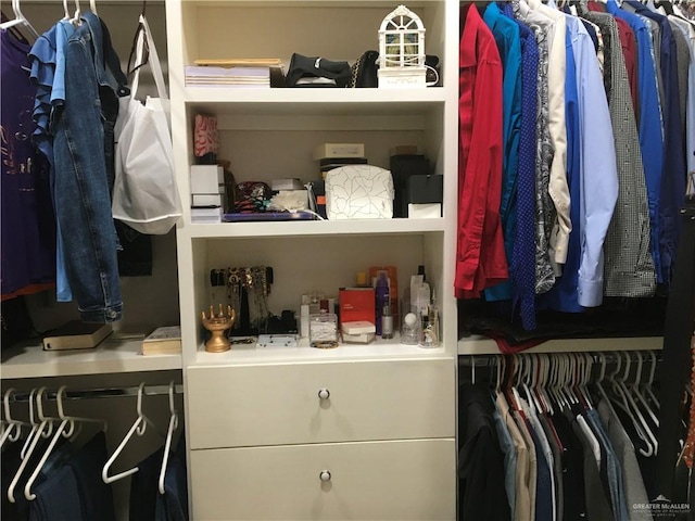 view of spacious closet