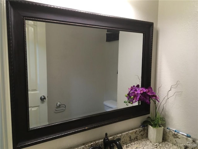 room details with vanity and toilet