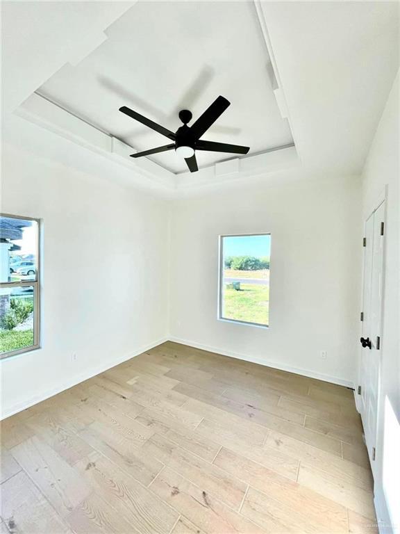 spare room with a tray ceiling, a healthy amount of sunlight, and light wood-type flooring