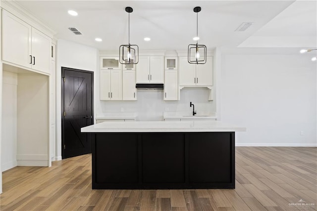 700 Juan Seguin St, Weslaco, TX 78599 - kitchen with a sink, a center island, glass insert cabinets, under cabinet range hood, and light wood finished floors