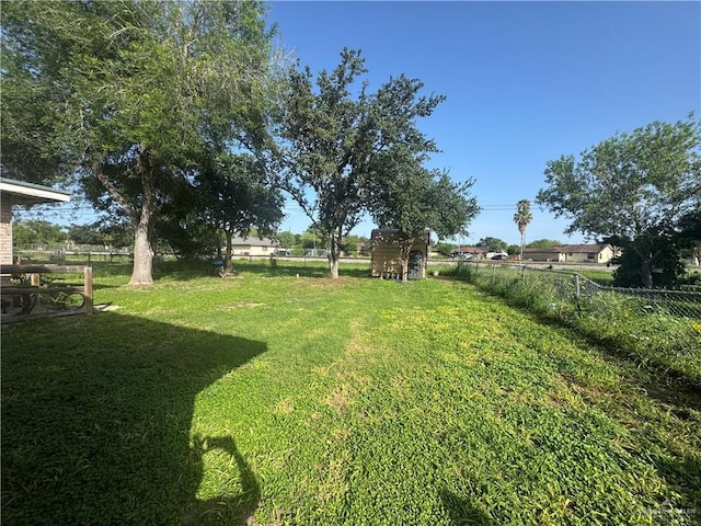 1008 S 3rd St, Edinburg, TX 78539 - view of yard