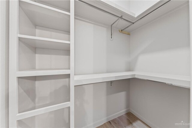 spacious closet featuring light hardwood / wood-style flooring