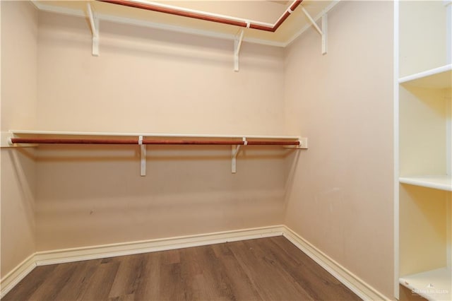 3707 Alvarado St, Edinburg, TX 78539 - spacious closet with wood finished floors
