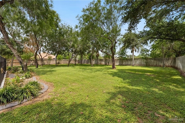 2315 E Sprague St, Edinburg, TX 78542 - view of yard with a fenced backyard
