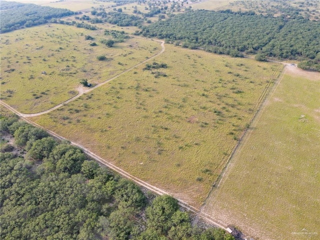 74 Pipeline, Rio Grande City, TX 78582 - photo 2