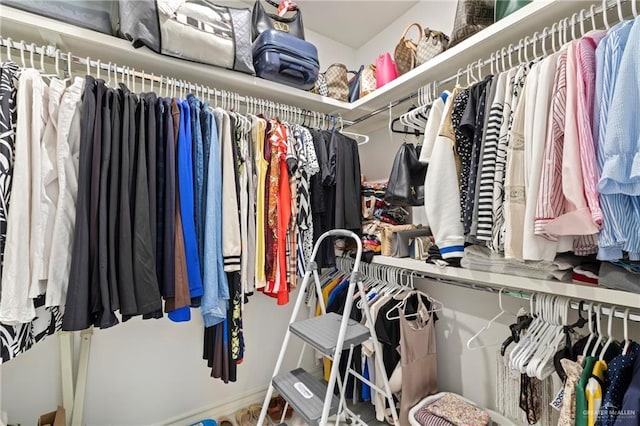 903 W Smith Dr, Pharr, TX 78577 - view of spacious closet