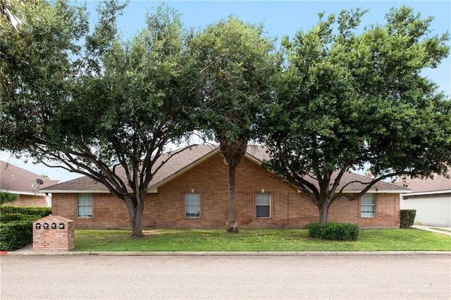 view of home's exterior with a yard