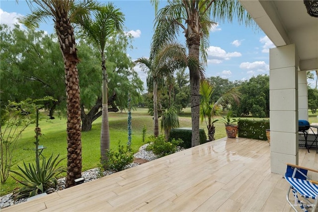 807 Cimarron Dr, Mission, TX 78572 - deck with a lawn