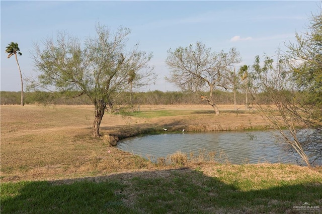 view of water feature