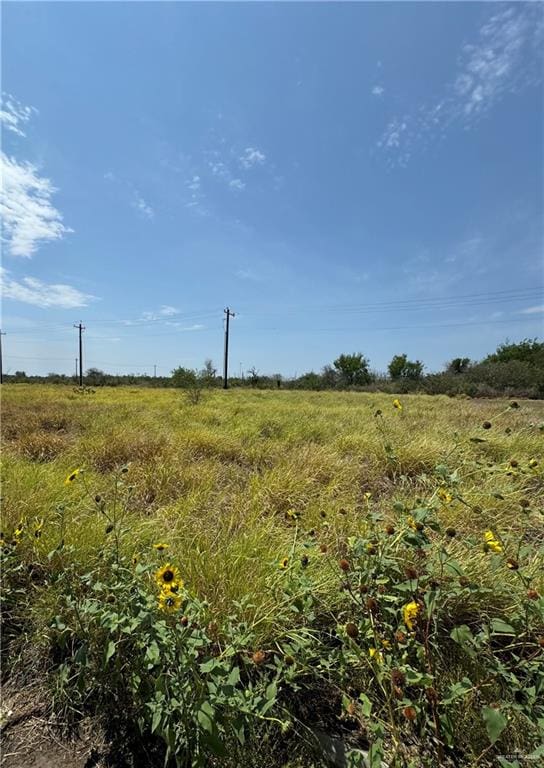 Listing photo 3 for 304 Palomino St, Rio Grande City TX 78582