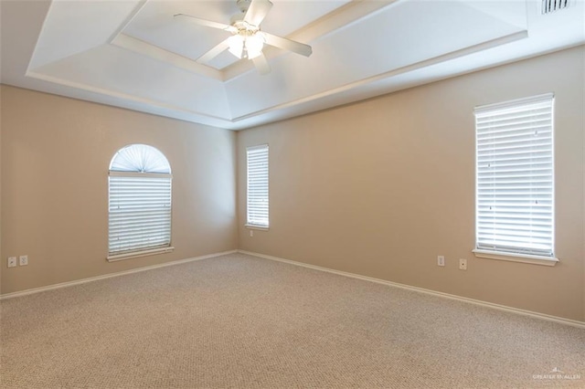 empty room with carpet flooring, a healthy amount of sunlight, and a tray ceiling