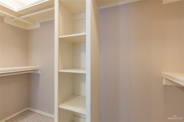 spacious closet with carpet