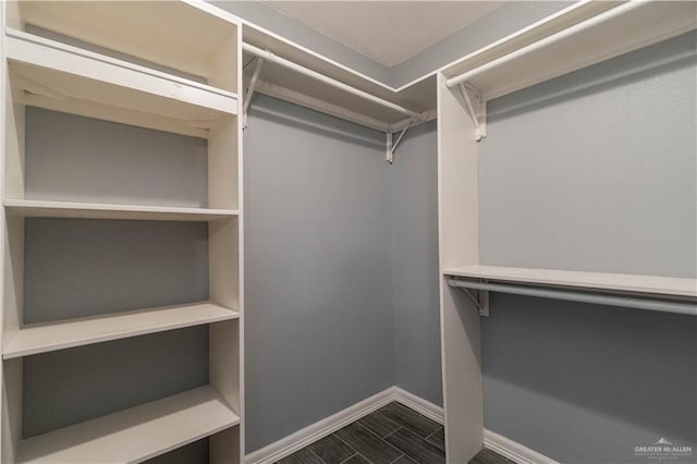 1608 Merlin Dr, Mission, TX 78572 - walk in closet featuring dark wood-style flooring