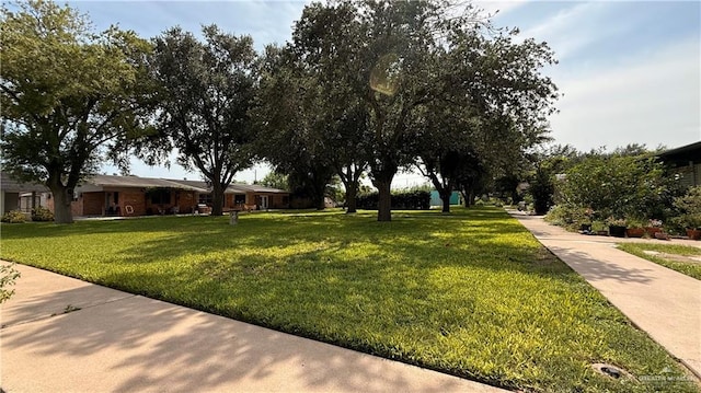 411 N 41st St Unit 2, Mcallen, TX 78504 - photo 15