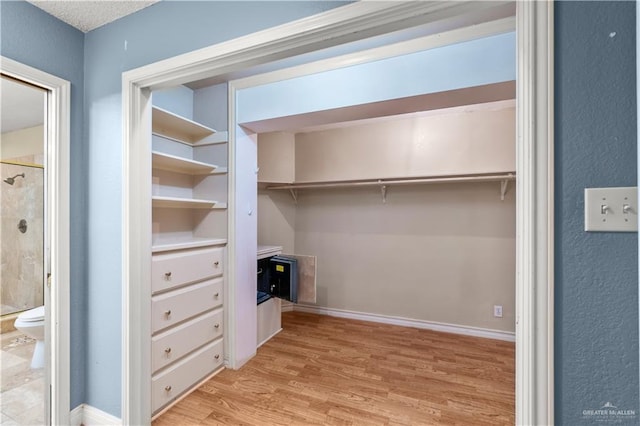 3206 Marion Ct, Harlingen, TX 78550 - walk in closet featuring light wood-type flooring