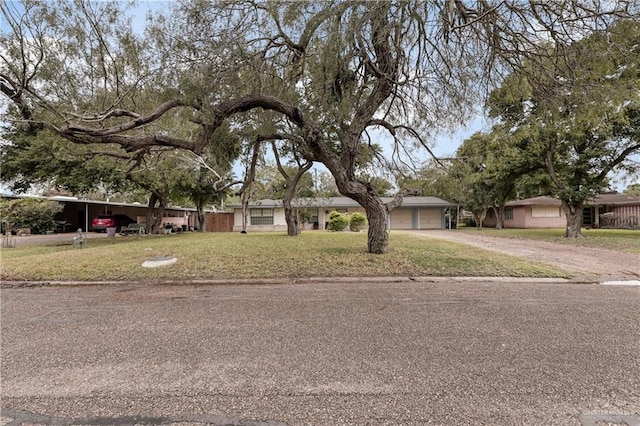 1702 Elmwood Dr, Harlingen, TX 78550 - view of front of property featuring driveway and a front lawn
