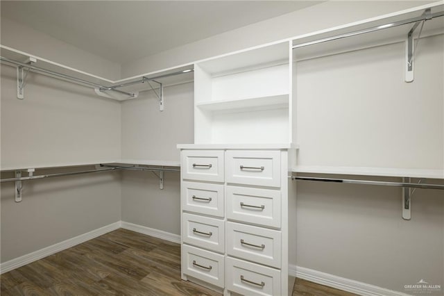 spacious closet with dark wood-style floors