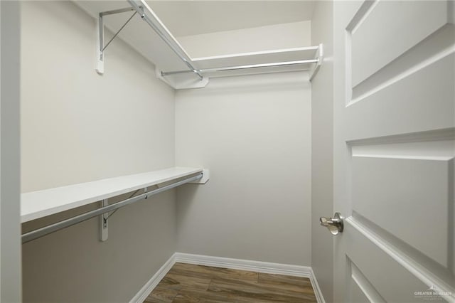 walk in closet featuring dark wood-style floors