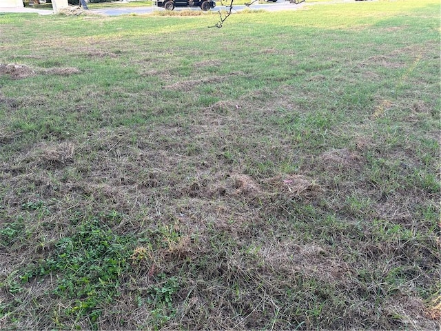 4709 Savannah Ave, Mcallen, TX 78503 - photo 3