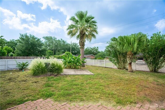 1201 Valley View Dr, Weslaco, TX 78596 - photo 26