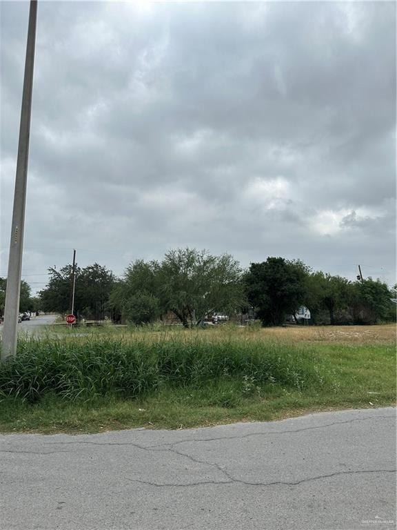 401 Conchita Dr, Hidalgo, TX 78557