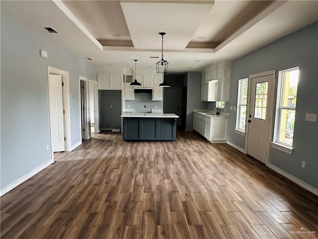 kitchen featuring a raised ceiling, white cabinetry, and hardwood / wood-style floors