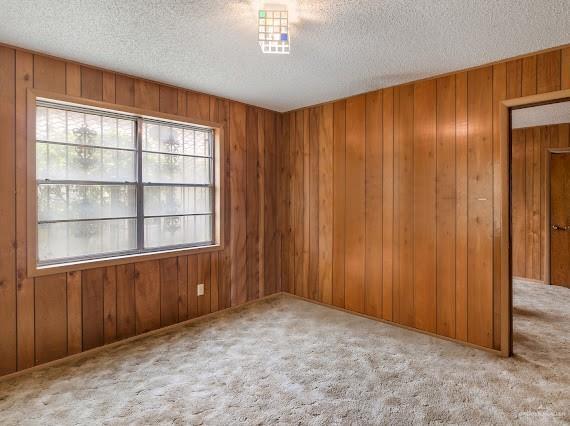 131 N Missouri Ave, Mercedes, TX 78570 - unfurnished room with carpet flooring, wooden walls, and a textured ceiling