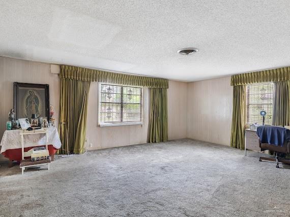 131 N Missouri Ave, Mercedes, TX 78570 - interior space with visible vents, carpet flooring, and a textured ceiling