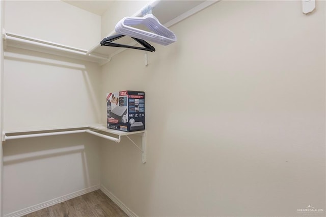 spacious closet featuring wood-type flooring