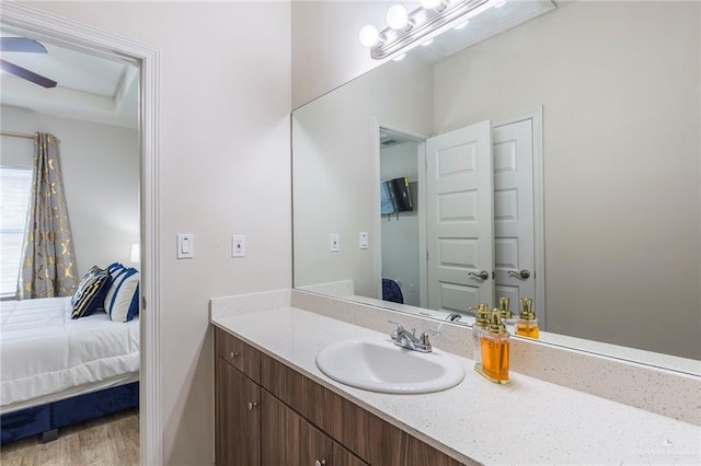 bathroom featuring hardwood / wood-style flooring and vanity