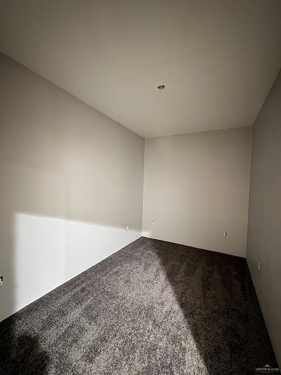 unfurnished room with carpet floors