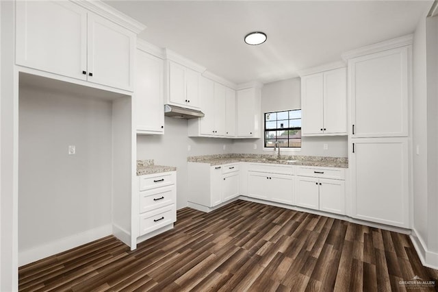 kitchen with dark hardwood / wood-style flooring, white cabinets, and sink